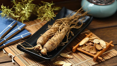 Panax Ginseng Extract